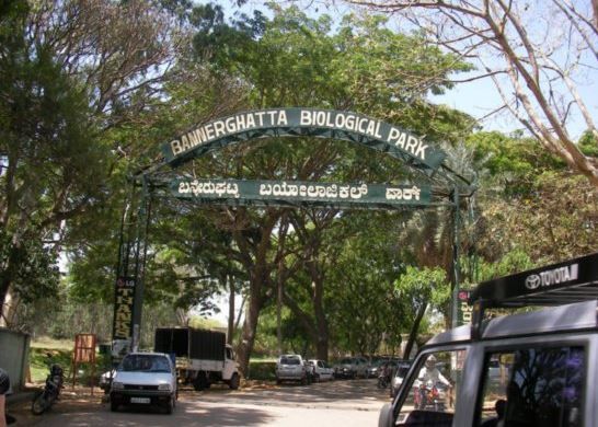 Bannerghatta National Park